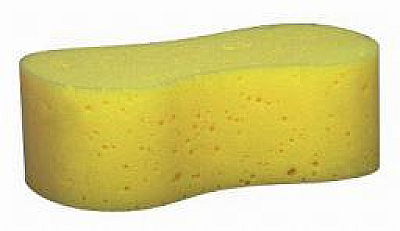 Bone Shaped Sponge